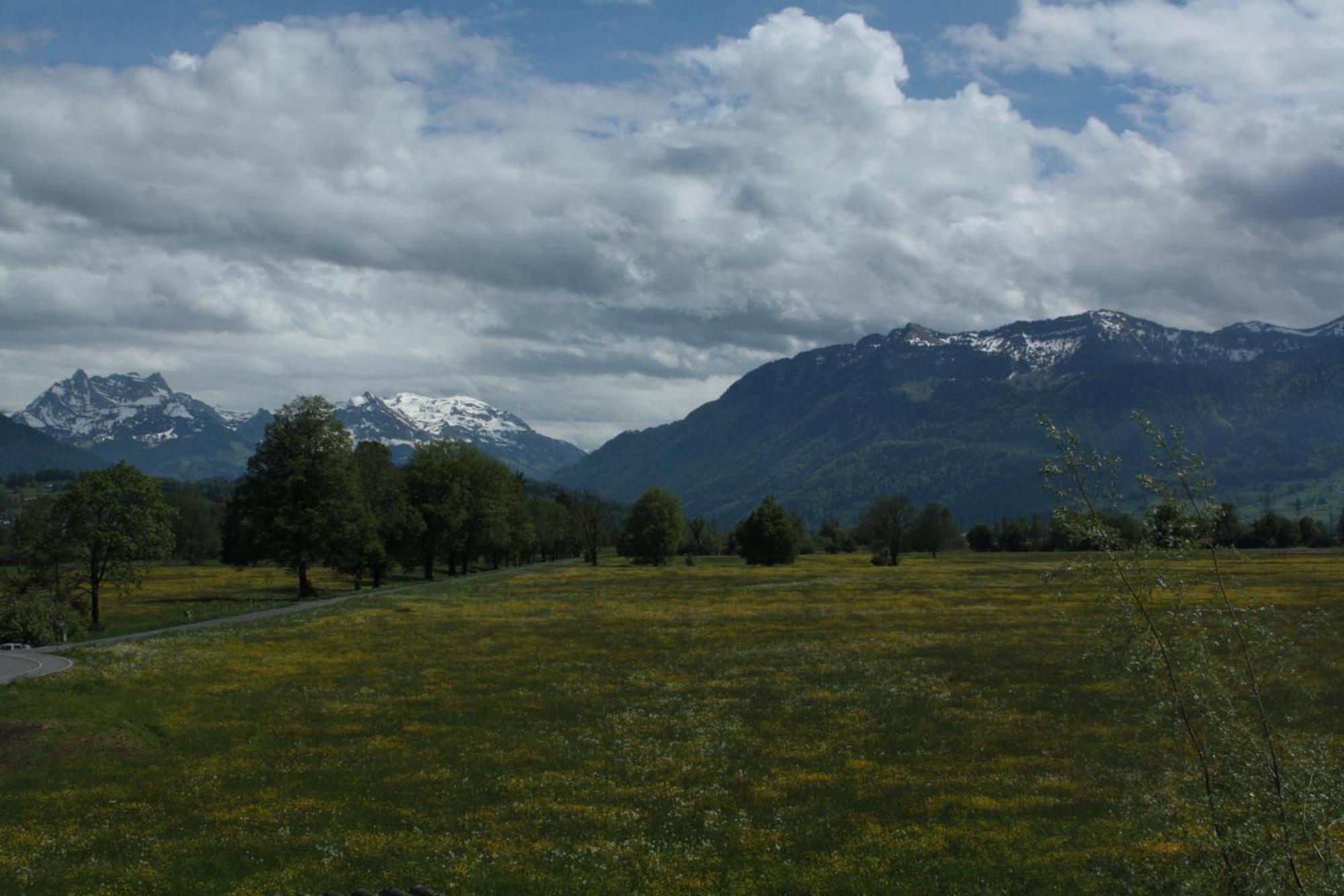 Bnb Entensee Uznach Esterno foto